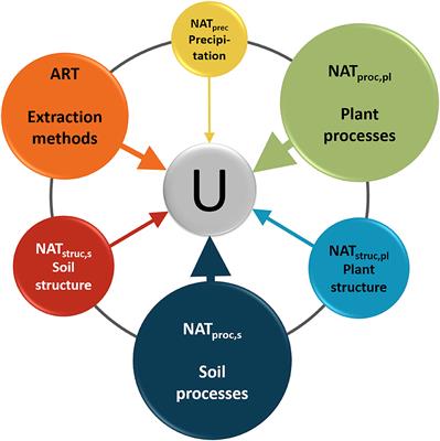 On the Spatio-Temporal Under-Representation of Isotopic Data in Ecohydrological Studies
